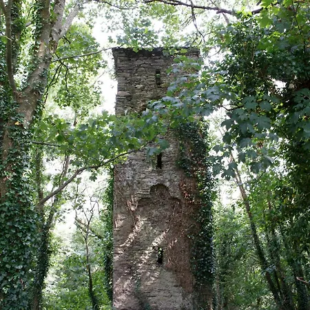 Dripsey Castle Estate