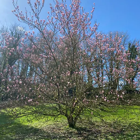 Dripsey Castle Estate Cork