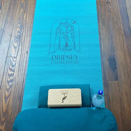 Villa Dripsey Castle Estate Cork