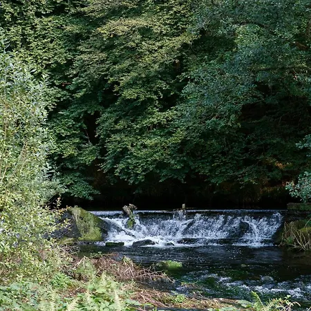 Villa Dripsey Castle Estate Cork