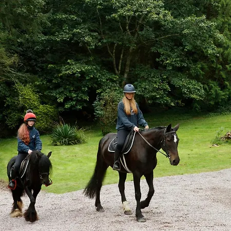 Dripsey Castle Estate Cork