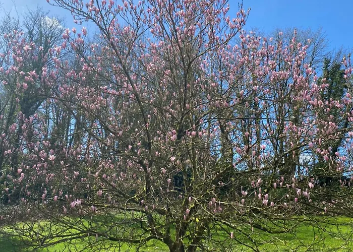 Dripsey Castle Estate Корк