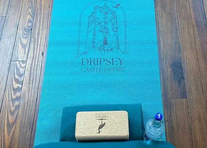 Вилла Dripsey Castle Estate Корк