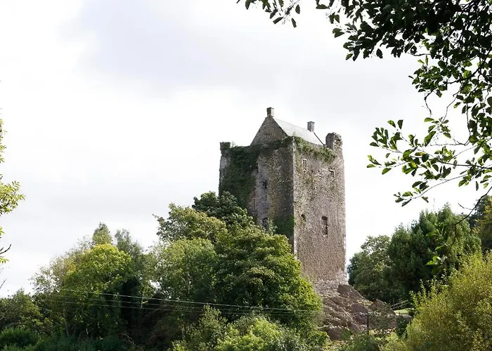 Dripsey Castle Estate Вилла Корк