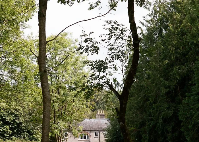 Dripsey Castle Estate * Корк