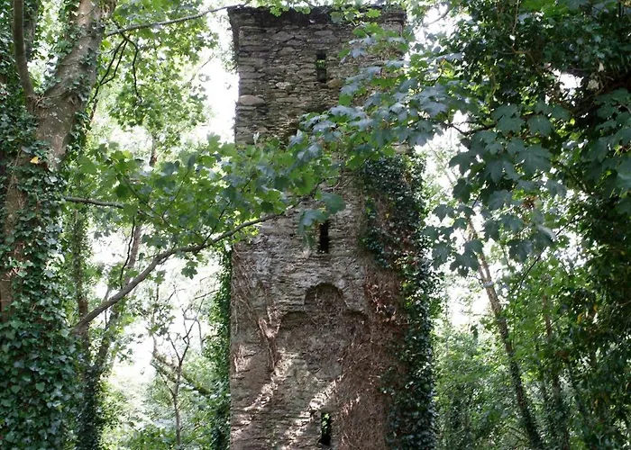 Dripsey Castle Estate