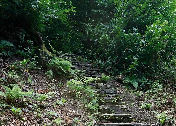 Вилла Dripsey Castle Estate Корк