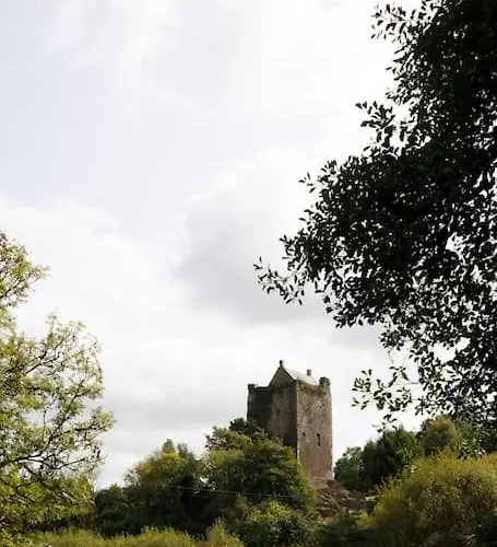 Dripsey Castle Estate Вилла