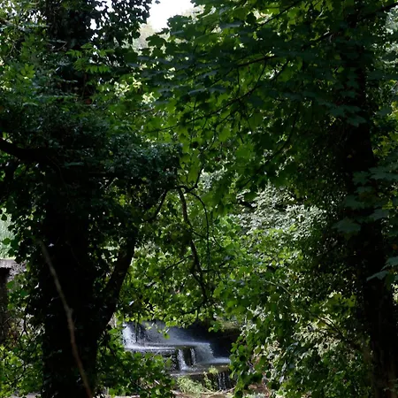 别墅 Dripsey Castle Estate