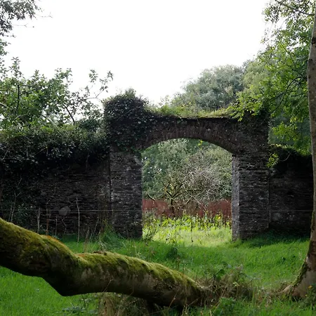 Dripsey Castle Estate