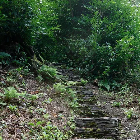 别墅 Dripsey Castle Estate 科克