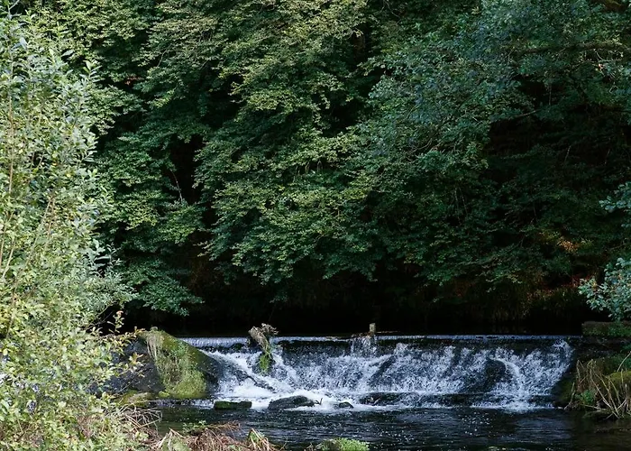 Vila Dripsey Castle Estate Cork