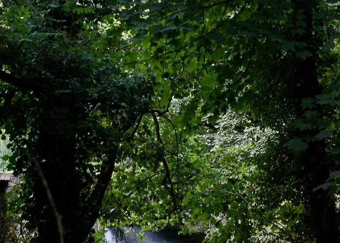 Vila Dripsey Castle Estate