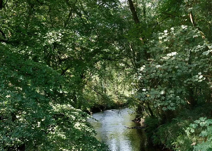 Vila Dripsey Castle Estate *