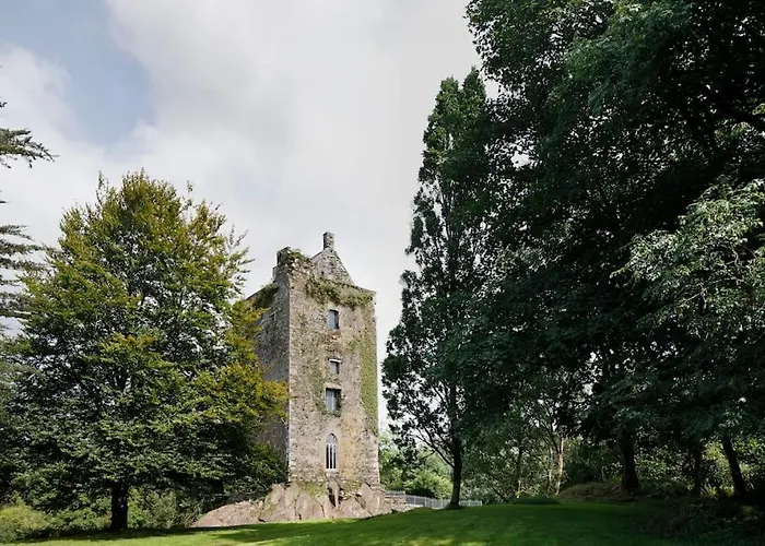 Dripsey Castle Estate Vila *